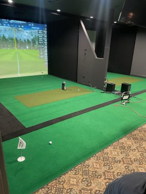 Complete Carls DIY Sim Bays with V2 1 level Putting Studio